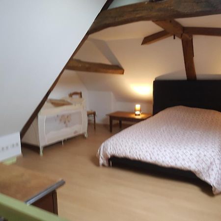 فيلا Chez Laiko Wifi Gratuit Beaulieu-sur-Loire المظهر الخارجي الصورة
