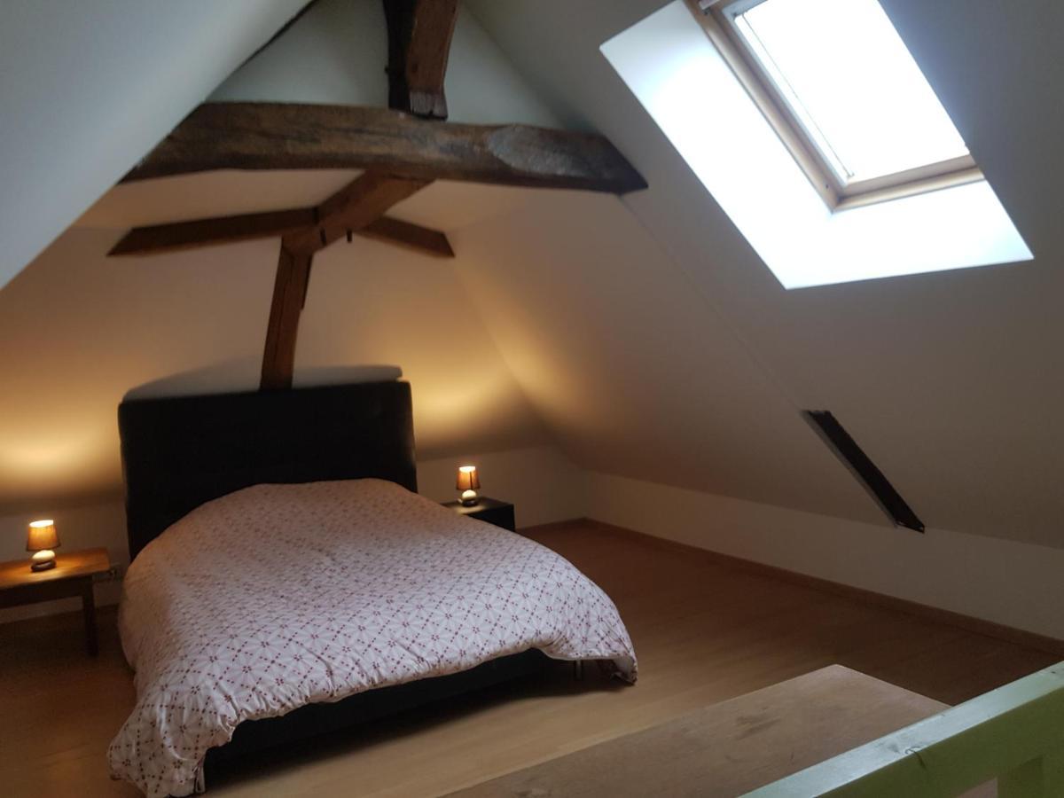 فيلا Chez Laiko Wifi Gratuit Beaulieu-sur-Loire المظهر الخارجي الصورة